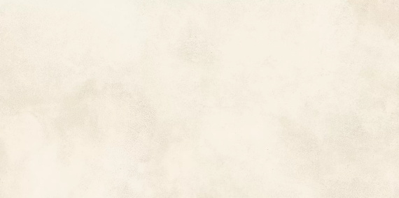 Плитка Alma Ceramica TWU09RCD004 Richard 24.9x50
