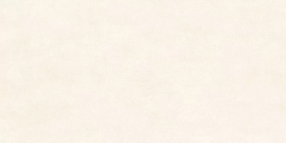 Керамогранит Alma Ceramica GFU60120BLN04R Berlin 120x60