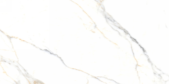 Керамогранит Neodom N40019 Marble Soft 60x120 Statuario Platinum Carving