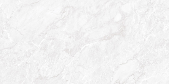 Керамогранит Neodom N20481 Belvedere 60x120 Carrara Pearl Polished