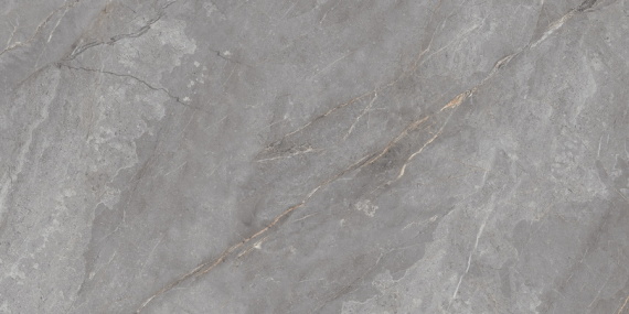 Керамогранит Neodom N20484 Belvedere 60x120 Orobico Grey Polished