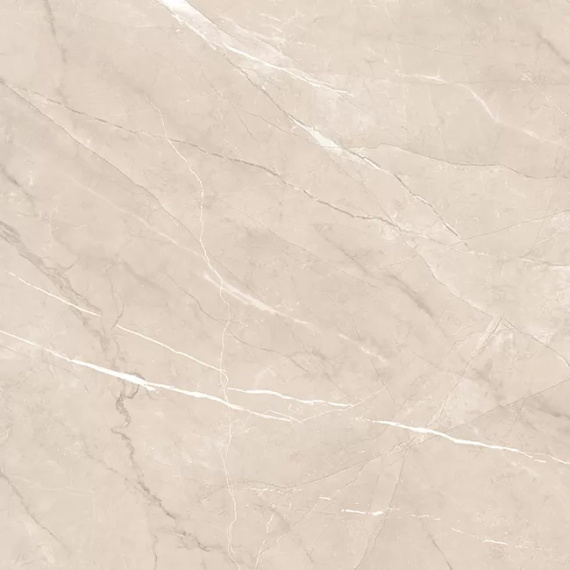 Керамогранит Alma Ceramica GFU04PLP04R Pulpis 600*600*9