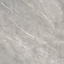 Керамогранит Alma Ceramica GFU04PLP70R Pulpis 600*600*9