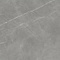 Керамогранит Atlas Concorde Russia 610010002710 Forte Dei Marmi Elegant Grey Rett 80x160