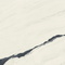 Керамогранит Atlas Concorde Russia 610015000664 Forte Dei Marmi Panda White Lapp 80x160