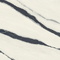 Керамогранит Atlas Concorde Russia 600180000037 Forte Dei Marmi Panda White Lapp 120x278