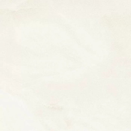 КерамогранитPrimavera PR137 Amore Silver polished 60x60