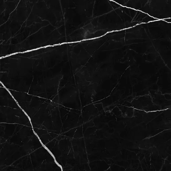 Керамогранит Primavera NR119 Ross Black 60x60