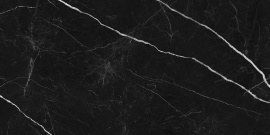 Керамогранит Primavera NR209 Ross Black 60x120