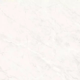 Керамогранит Primavera TP66M17 Пантир матовый 60x60