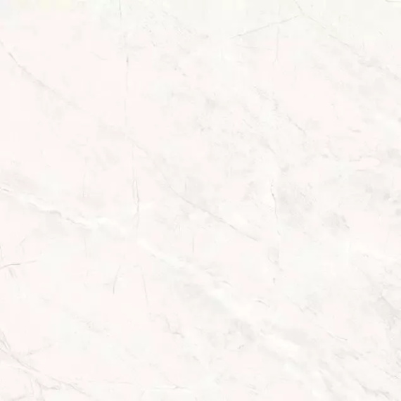 Керамогранит Primavera TP66M17 Пантир матовый 60x60
