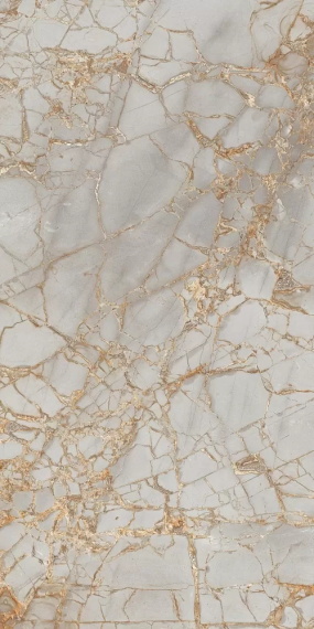 Керамогранит Primavera PR212 Golden Grey High glossy 600x1200