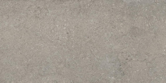 Керамогранит Italon 610010002728 Discover Grey 60x120
