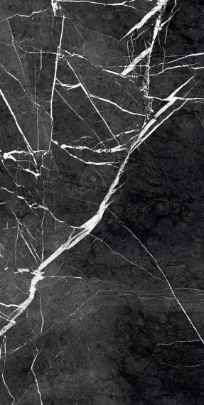 Керамогранит Primavera GR203 Fedele Negro High glossy 600x1200
