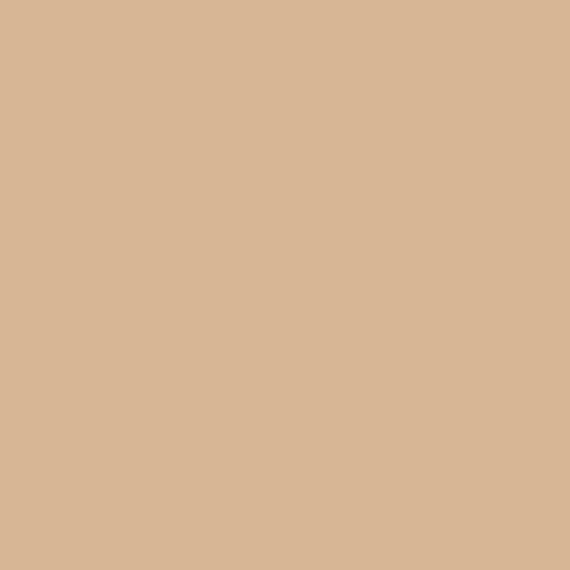 41zero42 4100817 Pixel41 19 Nut 11.55x11.55