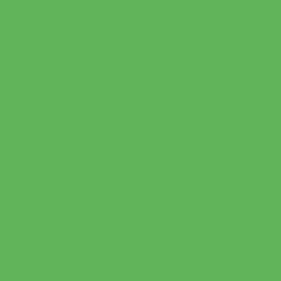 41zero42 4100836 Pixel41 38 Frog 11.55x11.55