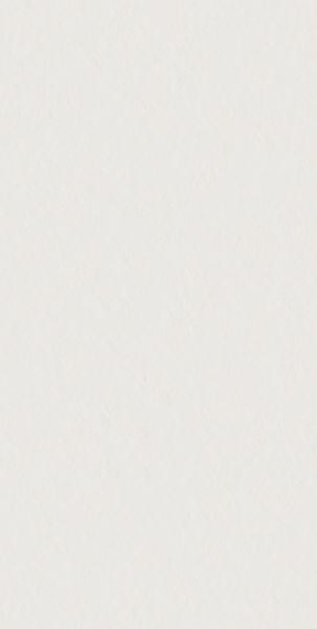 41zero42 4101023 Superclassica SCW Flamed 60x120