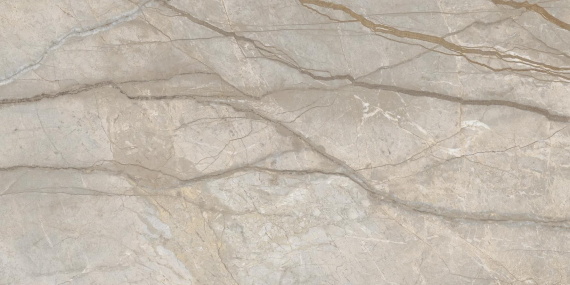 Italon 610010002835 Stellaris Elegant Silver 60x120