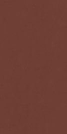 Настенная плитка 600010002374 Italon Surface Exclusive Red 80x160