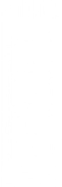 Плитка WT15ROL00R Royal White 24.6x74