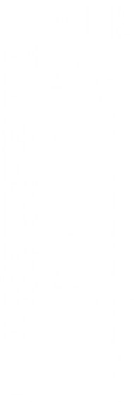 Плитка WT15ROL00R Royal White 24.6x74