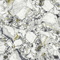 Atlas Concorde Russia 610010002971 Forte Dei Marmi Quark Ceppo Apuano Forest Rett 80x80