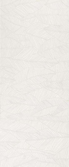 Плитка Atlas Concorde Aplomb White Leaf 50x120 A6FC