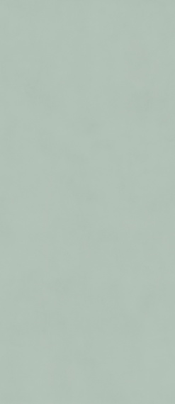 Керамогранит BOOST COLOR Jade Matt 6 mm 120x278 AKNK