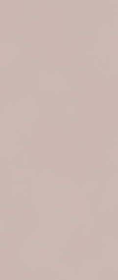 Керамогранит BOOST COLOR Mauve Matt 50x120 AKM0