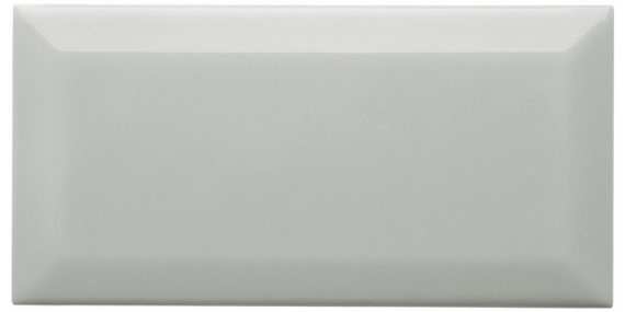 Плитка NERI Biselado PB Silver Mist 10x20