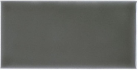 Плитка RENAISSANCE Liso Eucalyptus 9,8x19,8