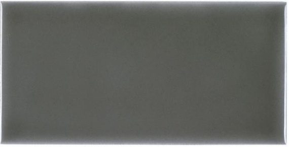 Плитка RENAISSANCE Liso Eucalyptus 9,8x19,8