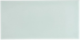 Плитка RENAISSANCE Liso Fern 9,8x19,8