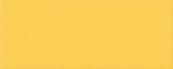 Плитка VELA OCHRA 20,1x50,5