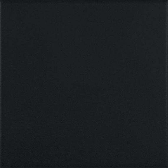 Плитка PASION Base Negro 20x20