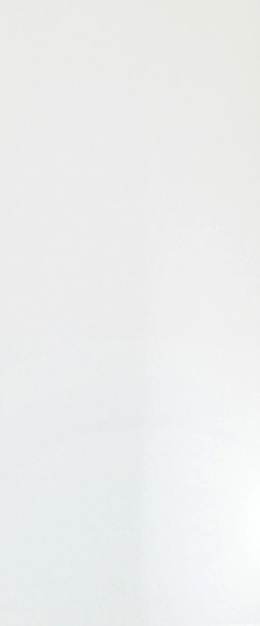 Плитка 3D WALL PLASTER Solid White Glossy 50x120 A6BG
