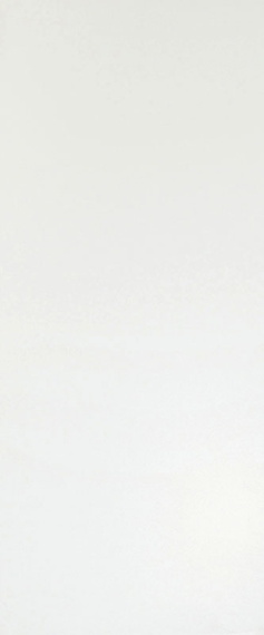 Плитка 3D WALL PLASTER Solid White Matte 50x120 A6BF