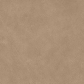 Плитка Atlas Concorde BOOST NATURAL AshCoral 120x120 A65R