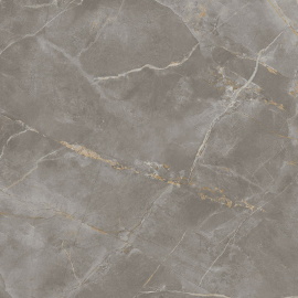 Керамогранит MARVEL X Fior di Bosco Silk 9 mm AFVN 120x120