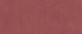 Керамогранит PRISM Grape Matte A4TM 50x120