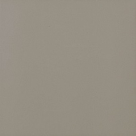 Taupe NRE5 30x30