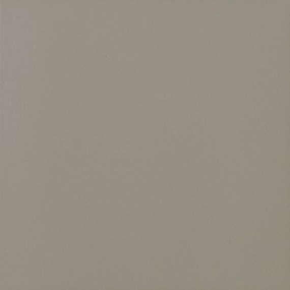 Taupe NRE5 30x30