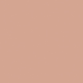 Плитка Equipe BAUHOME Rose 27681 20x20