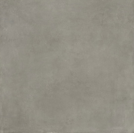 Керамогранит ITALGRANITI I CEMENTI Taupe RealUp/StrideUp FL0412 120x120