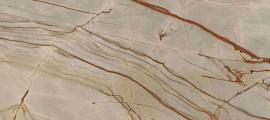 Nature Mood Rainforest Glossy 80x180