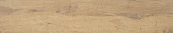 Dexter Roble 23x120