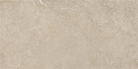 Arenite Natural Matt. 60x120