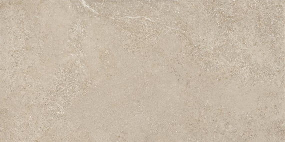 Arenite Natural Matt. 60x120