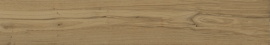 Walnut Бежевый Матовый R10a 20x120