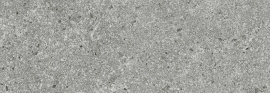Lunario Silver 24.2x70